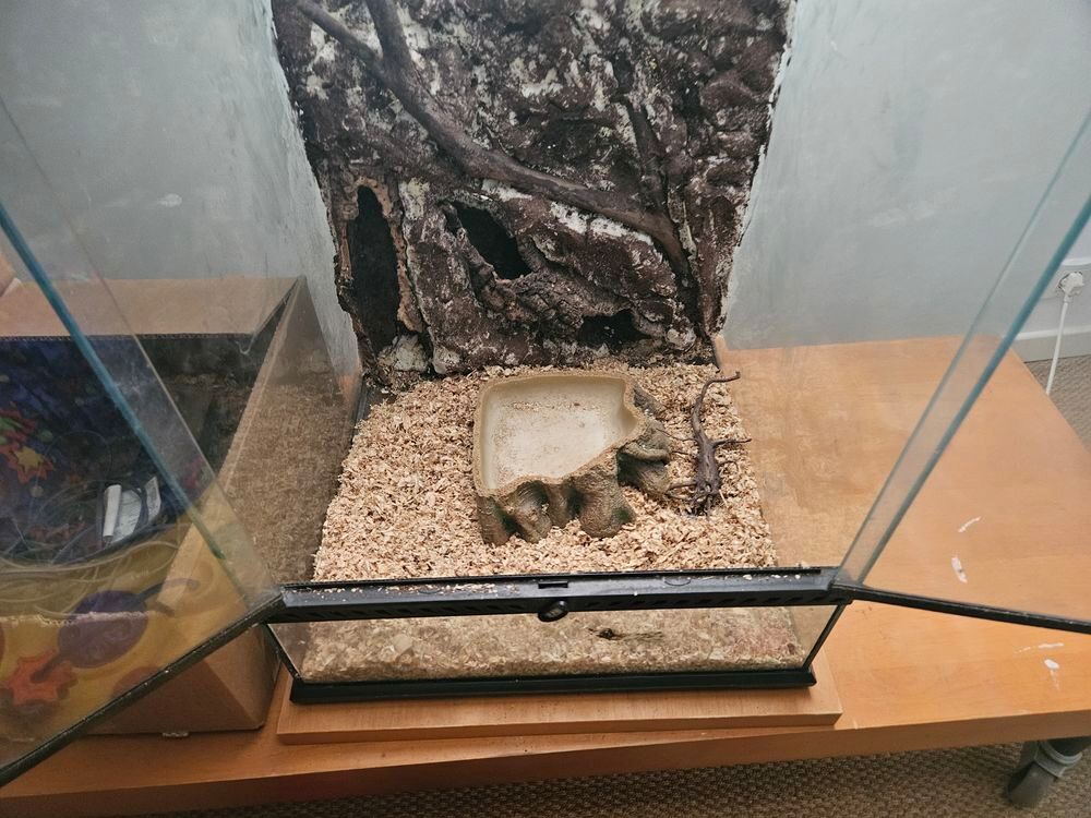 Terrarium (x2) et un occupant (boa) 