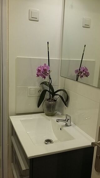  Chambre � louer 1 pi�ce 22 m�