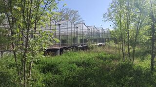  Ferme  vendre 2 pices 5000 m
