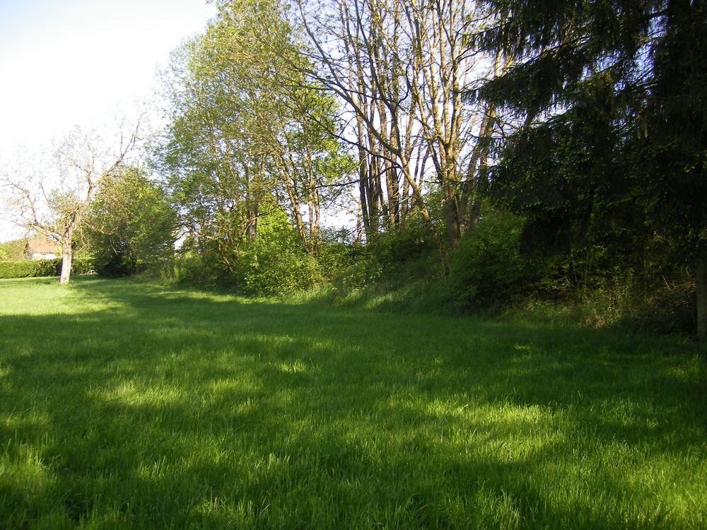 Vente Terrain TERRAIN DE 43,21 ares (4 321 m2) VIABILISÉ À RODALBE MOSELLE Rodalbe