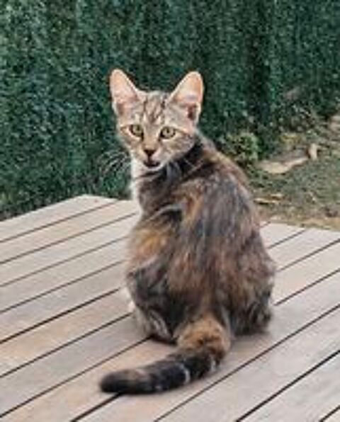   BONNIE 