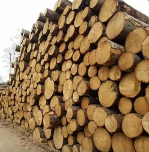 Bois de chauffage  dur et sec 55 Draveil (91)