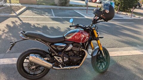 Moto TRIUMPH 2024 occasion Villenave-d'Ornon 33140