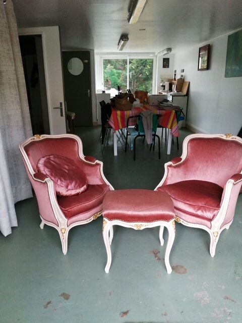 Ensemble deux bergres et repose pieds style Louis XVI 200 Les Clayes-sous-Bois (78)