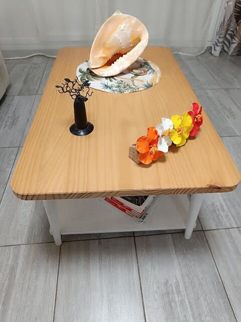 TABLE BASSE DEUX PLATEAUX BEIGE ET BLANC 50 Saint-Raphal (83)
