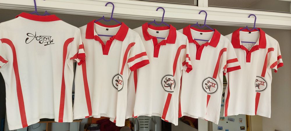 Polos Filles Lyc&eacute;e Acajou 2 Vêtements
