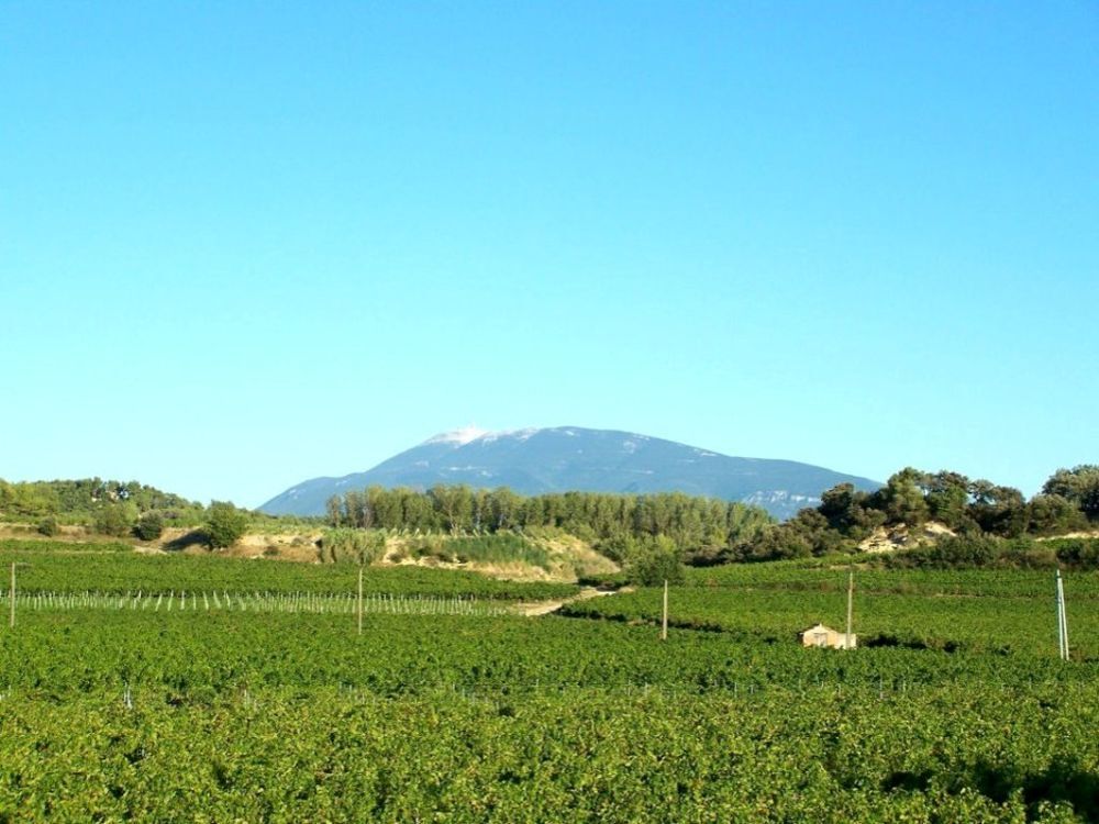   Vaison la Romaine Gite 2/5 pers Provence-Alpes-Côte d'Azur, Vaison-la-Romaine (84110)