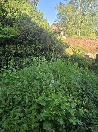  Maison à vendre 3 pièces 36 m²