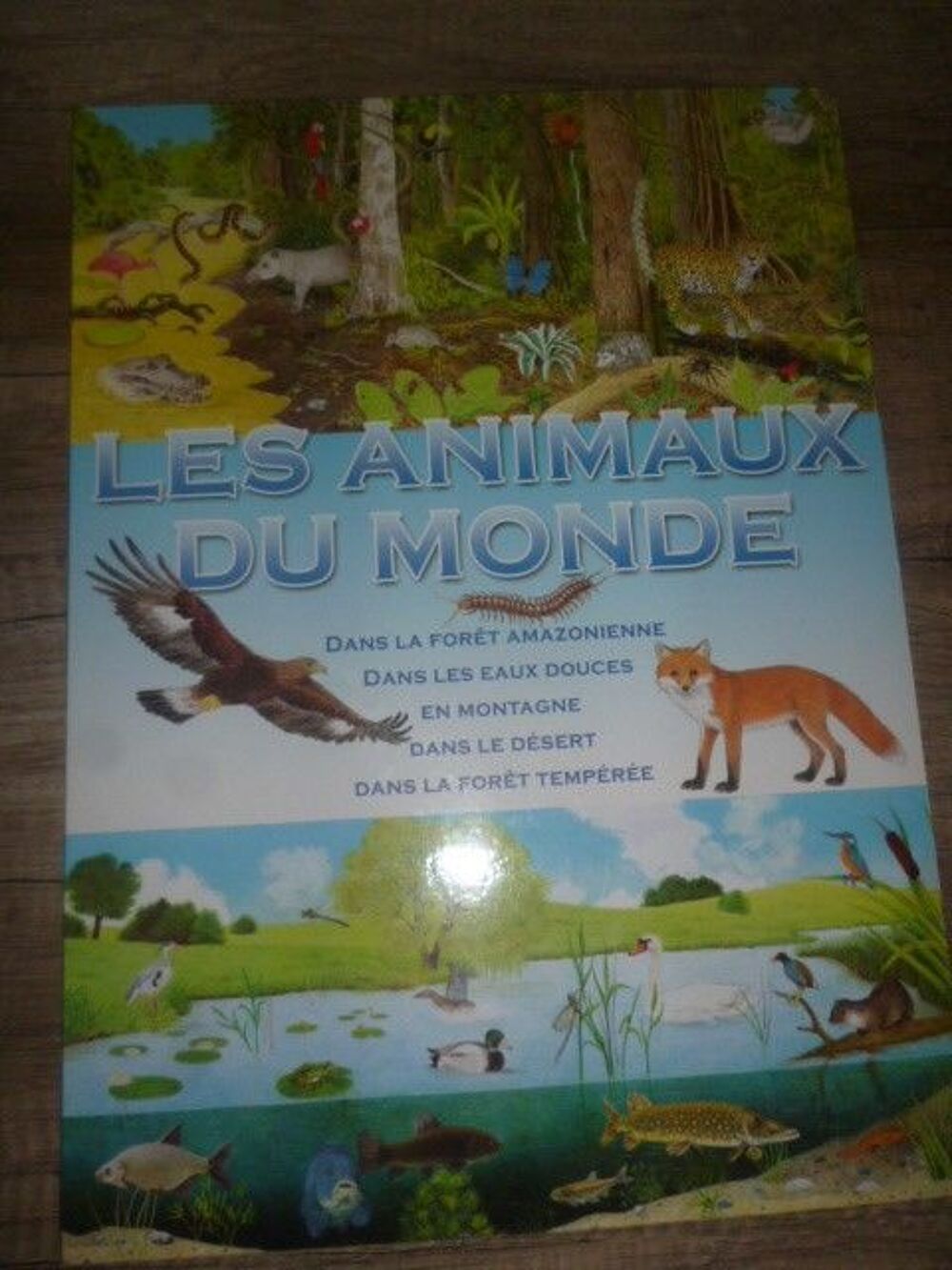 Grand livre Les animaux du Monde NEUF Livres et BD