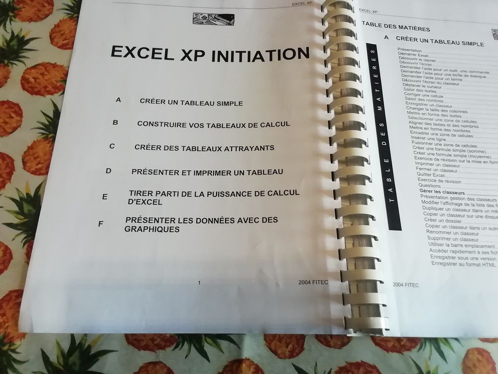 Cahier initiation EXEL XP stage FITEC Matériel informatique