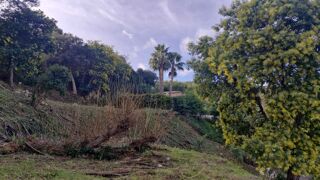  Terrain � vendre 1652 m� Mandelieu-la-napoule