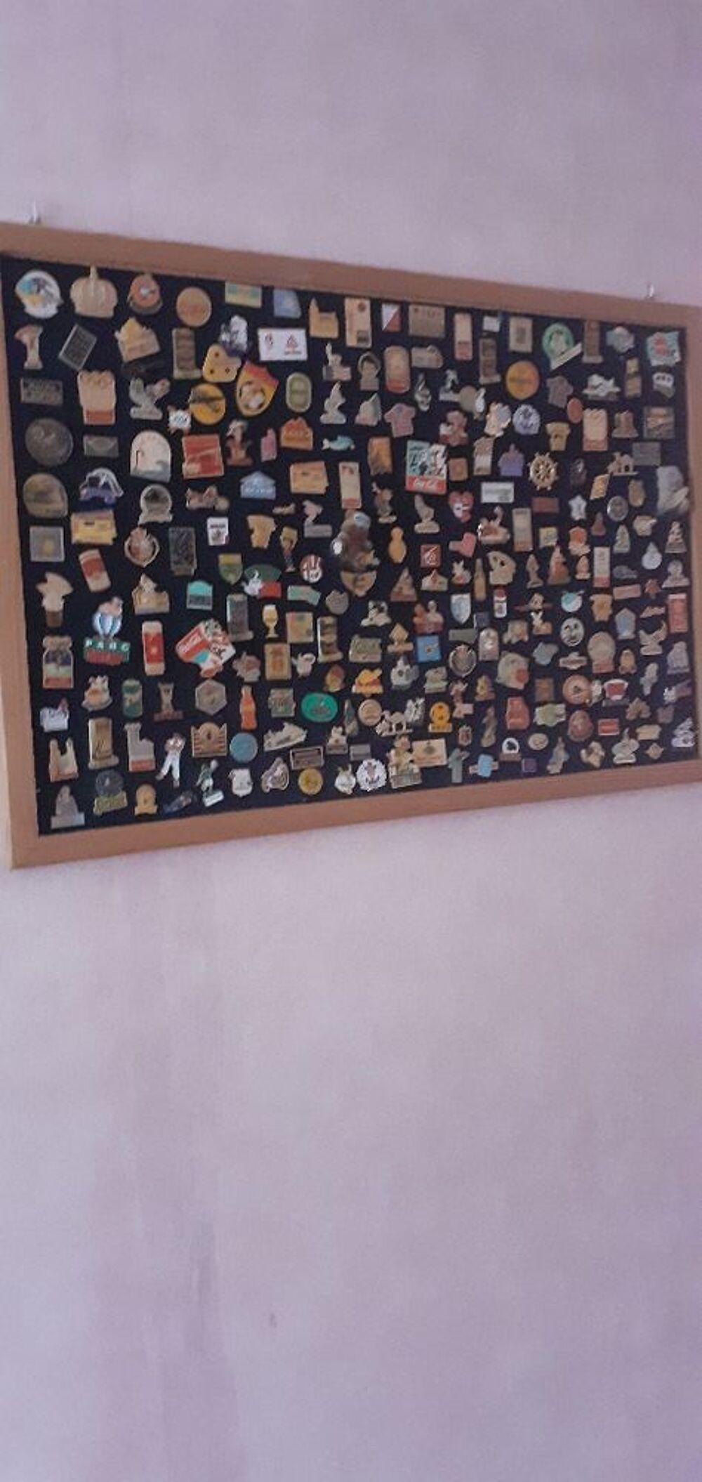 collection pin's 