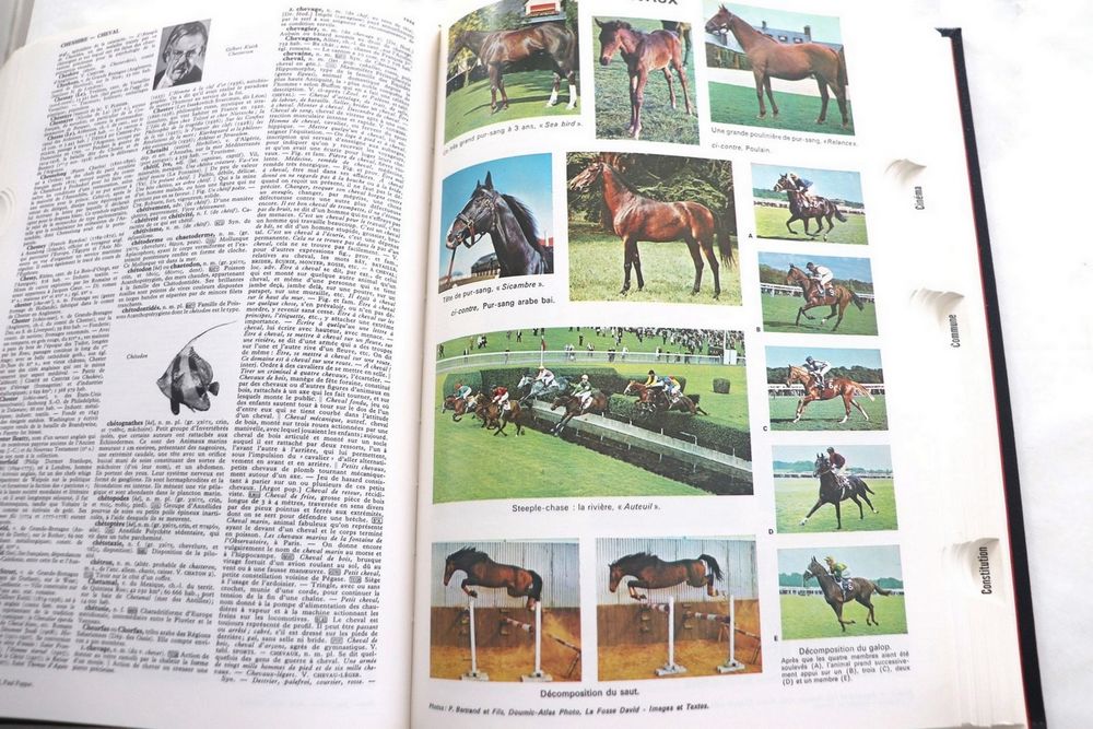 Dictionnaires encyclop&eacute;diques QUILLET ann&eacute;e 1977 Livres et BD