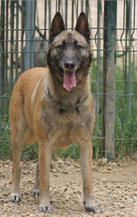 Orka 230 26700 Pierrelatte