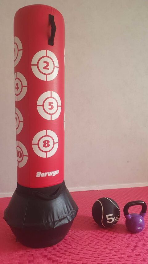 Sac de frappe sur pied 165 cm 40 Lyon 3 (69)