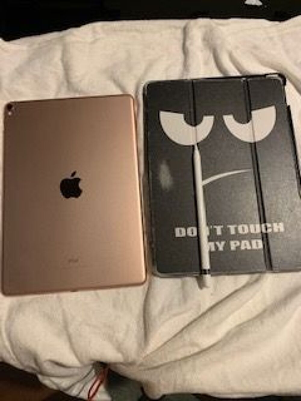 iPad Pro 10,5 FIN 2017 256GO ET Apple Pencil T�l�phones et tablettes