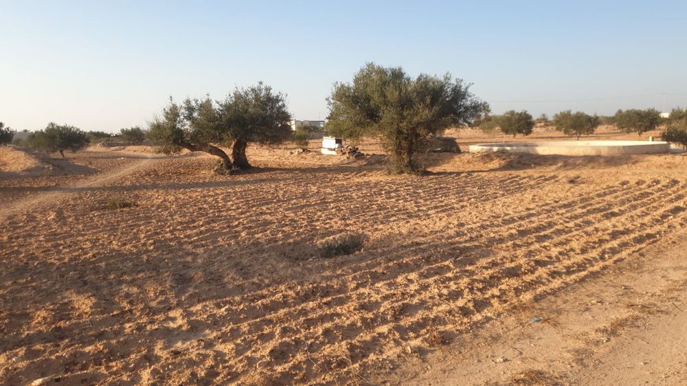 Vente Terrain Terrain 1800 m² à Djerba - Bousmaiel Djerba (Tunisie)