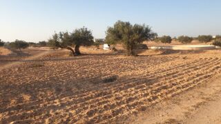  Terrain à vendre 1800 m² Djerba