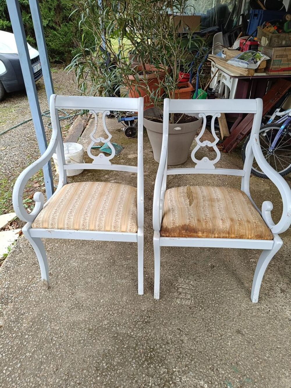 Chaises Meubles