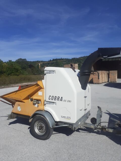 Broyeur de branches saelen cobra 65 dri 14000 Arbent (01)