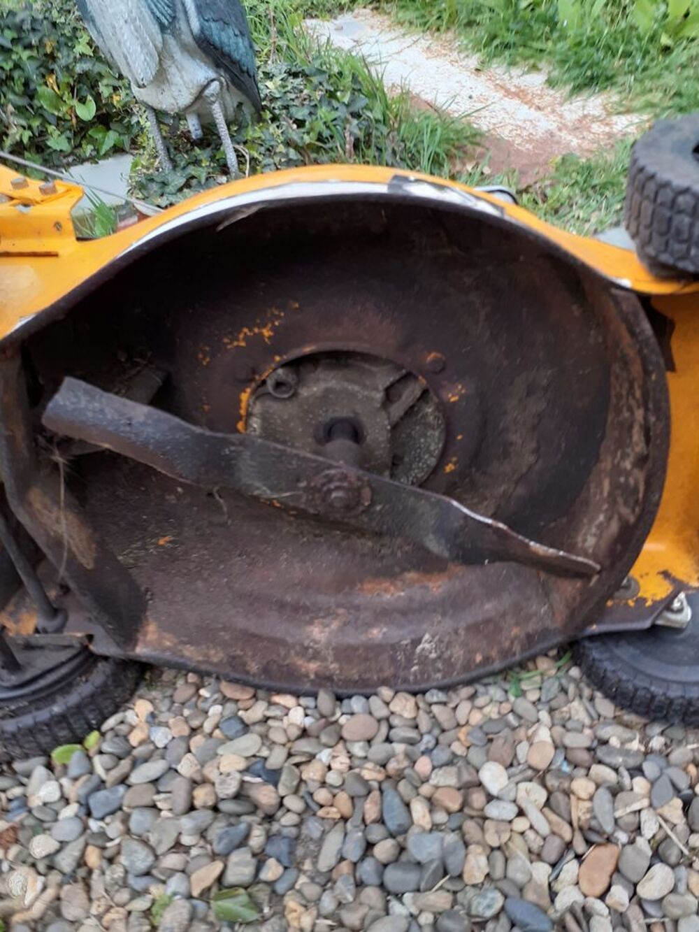 Tondeuse a gazon Jardin
