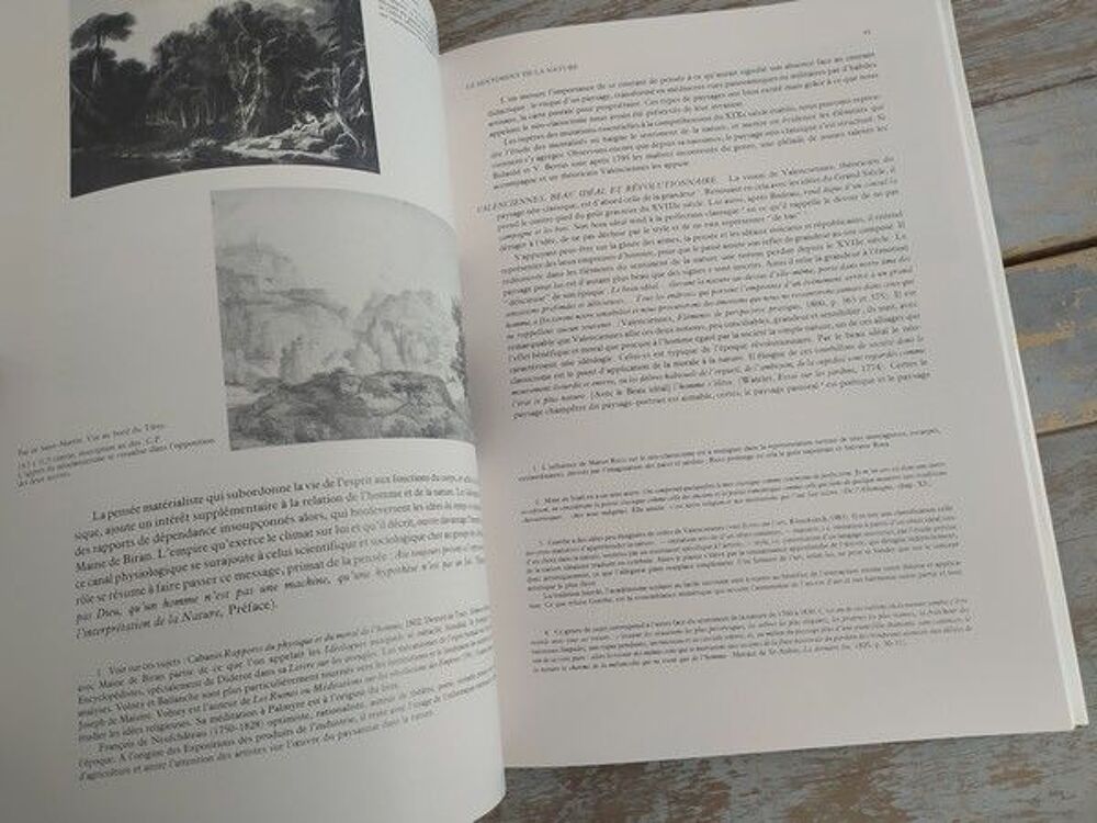 Livre Paysage et Soci&eacute;t&eacute; 1800 -1900 L'&eacute;cole de la nature T5 Livres et BD