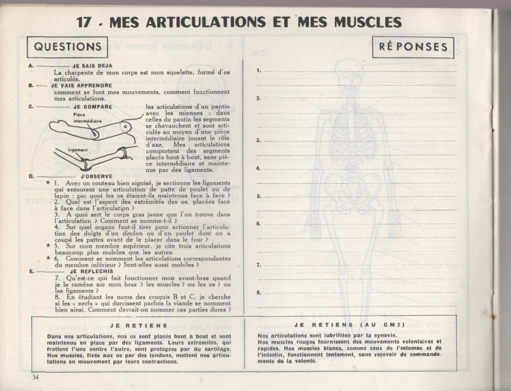 Cahier de sciences physique et naturelles - L'homme Livres et BD
