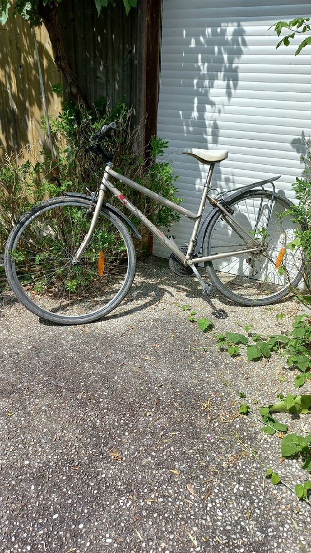 V&eacute;los femme ou grand ado, gris Vélos
