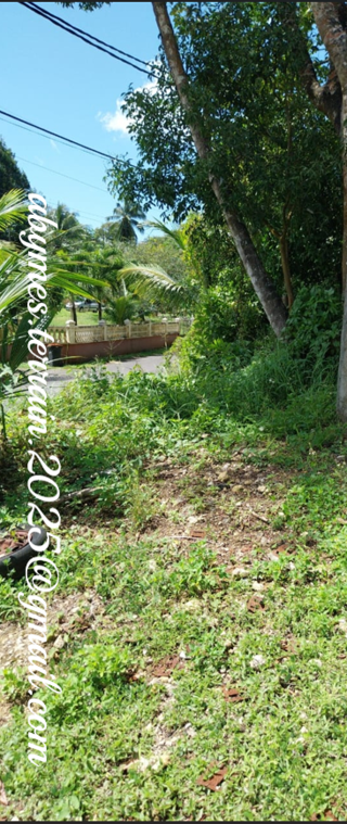  Terrain  vendre 4683 m