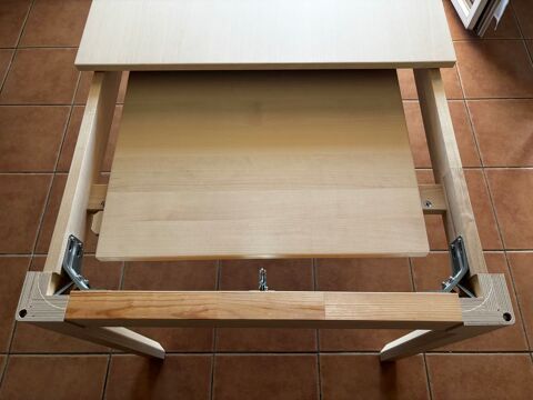 table La Salvetat-Saint-Gilles (31)