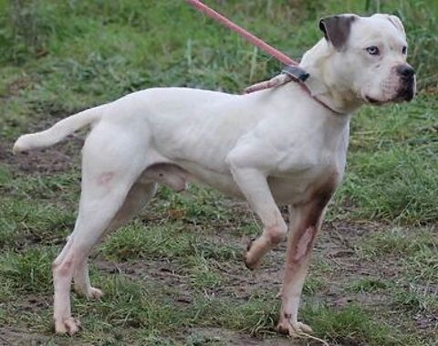 Malco 130 26700 Pierrelatte