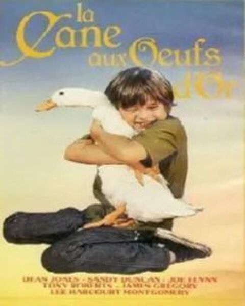 LA CANE AUX OEUFS D OR 0 Dunkerque (59)