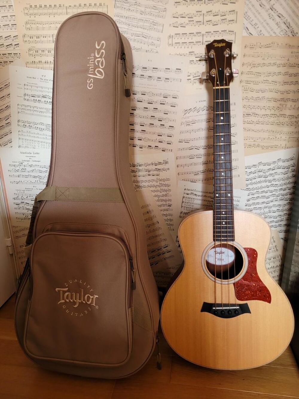 BASSE ELECTRO ACOUSTIQUE TAYLOR - gs mini Instruments de musique