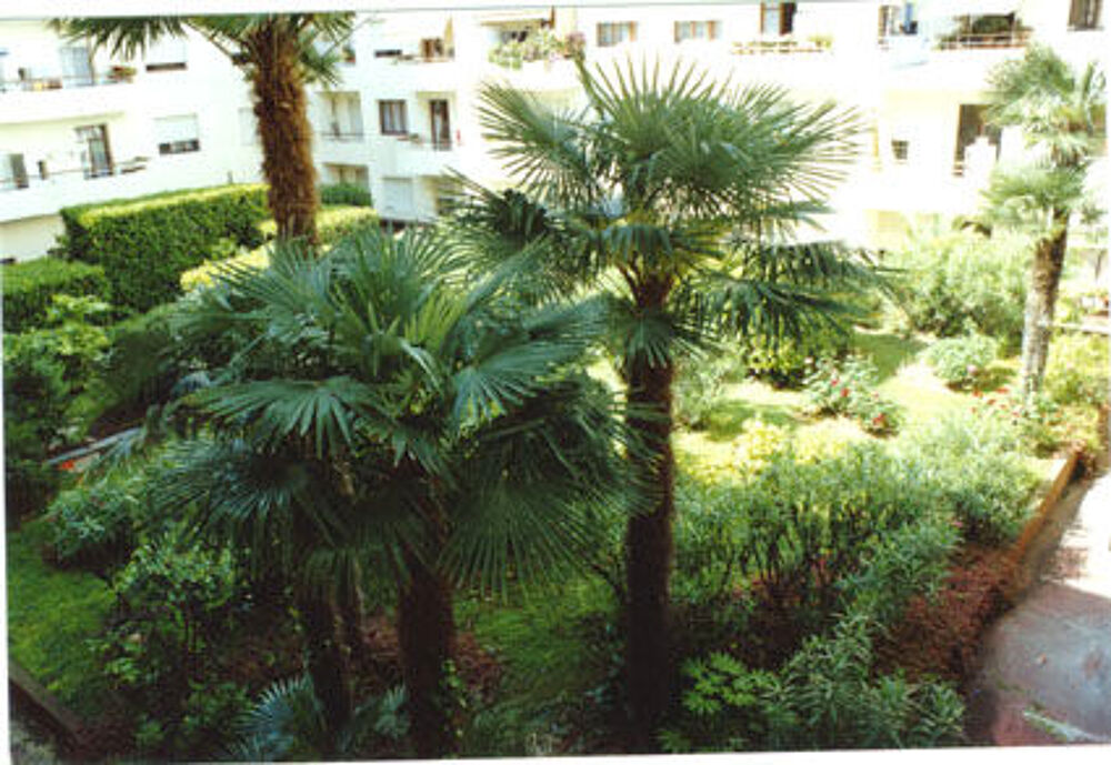 Location Appartement Lumineux 3 pices 75 m2 traversant nord/sud - quartier port Nice