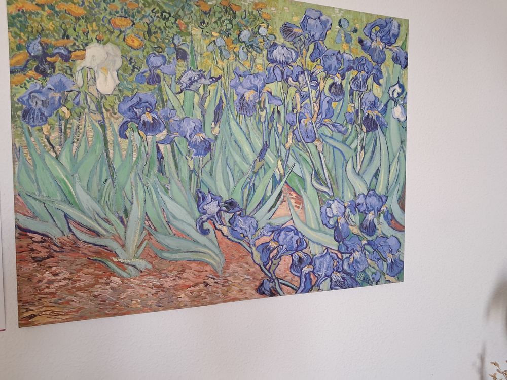 Reproduction de Vincent VAN GOGH Décoration