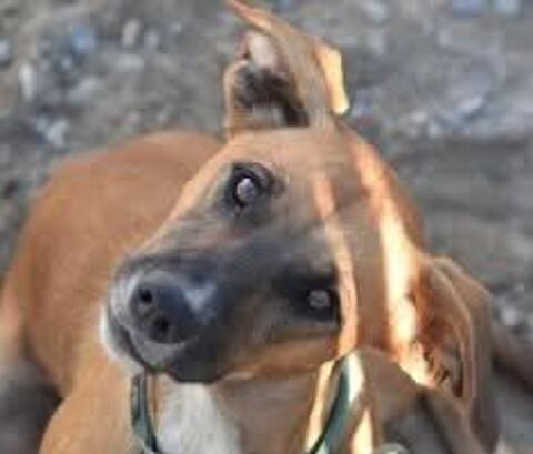 RAGNA 300 27620 Gasny