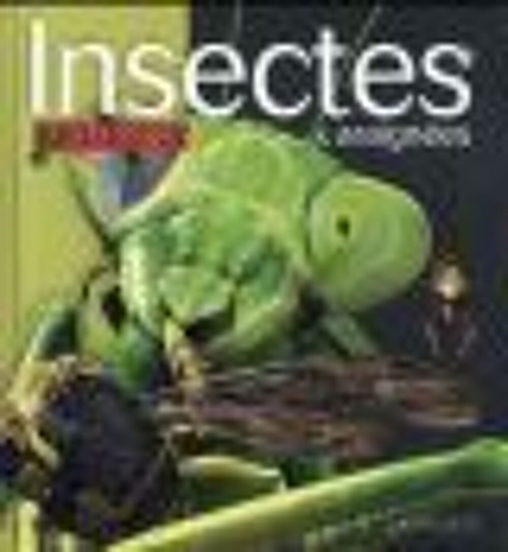 Les insectes et araign&eacute;es Livres et BD