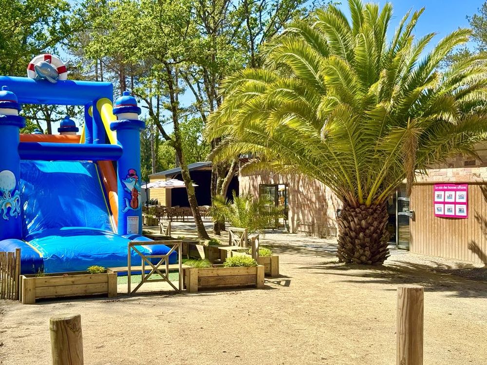  2017 occasion 44420 Piriac-sur-Mer