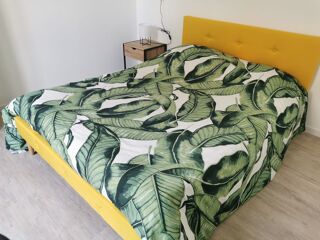  Colocation à louer 4 pièces 14 m²