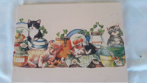 Huile sur canevas : chats
15 Salon-de-Provence (13)