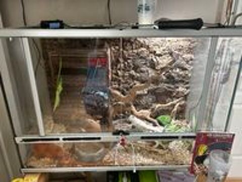   terrarium complet 