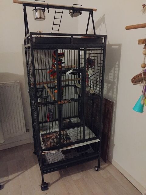 Cage pour perroquet 80 44150 Ancenis