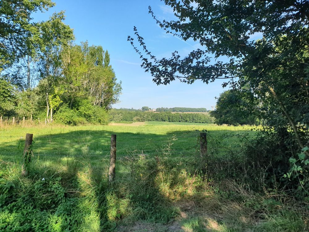 Vente Maison Ancien relais de poste sur environ 3 900 m² de terrain avec vue. Cuisery