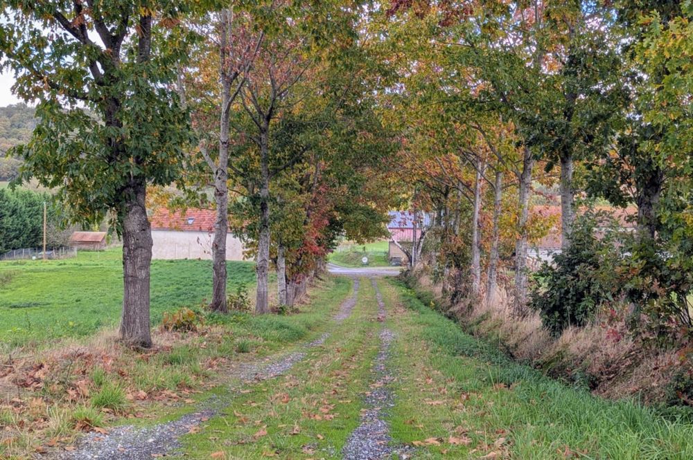 Vente Ferme Bien rare, avec maison, dépendances, étang,  prairies et boi Lucarré