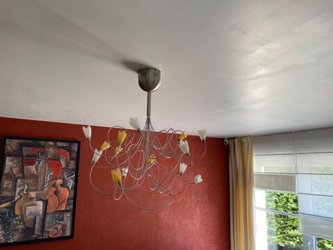 Lustre Fleurs/Tulipes Montoy-Flanville (57)