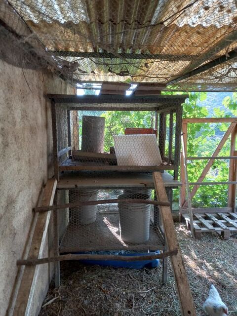 cages   lapins Auribeau-sur-Siagne (06)