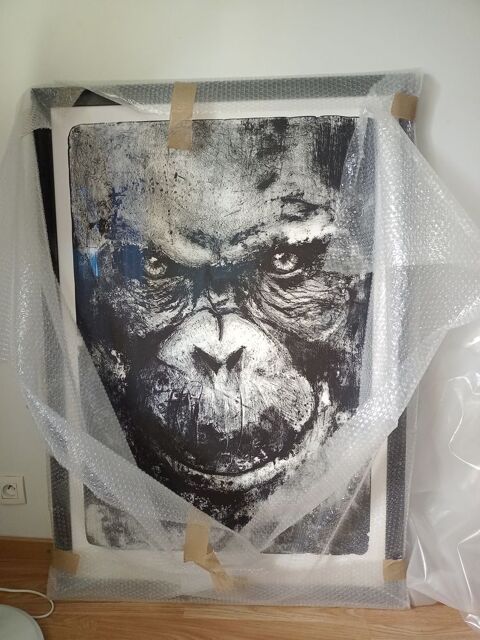 Lithographie chimpanz� 850 Saint-Nazaire (44)