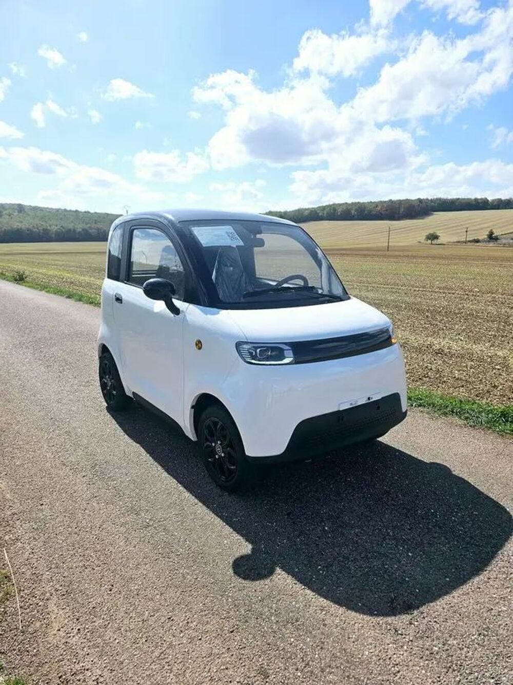   occasion 55200 L&eacute;rouville