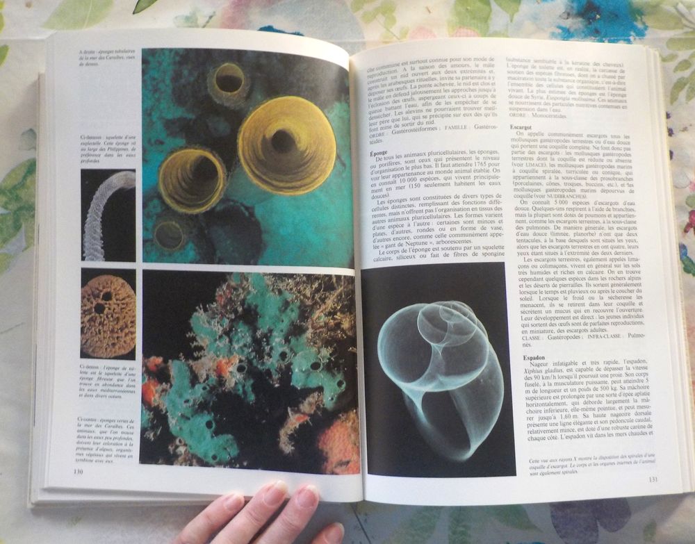 LA NOUVELLE ENCYCLOPEDIE DES ANIMAUX Ed. France Loisirs Livres et BD