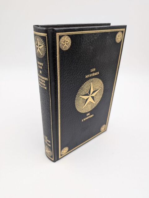 Livre Les Mystères de l'Univers : Les Pierres Levées Portes 3 Vulbens (74)